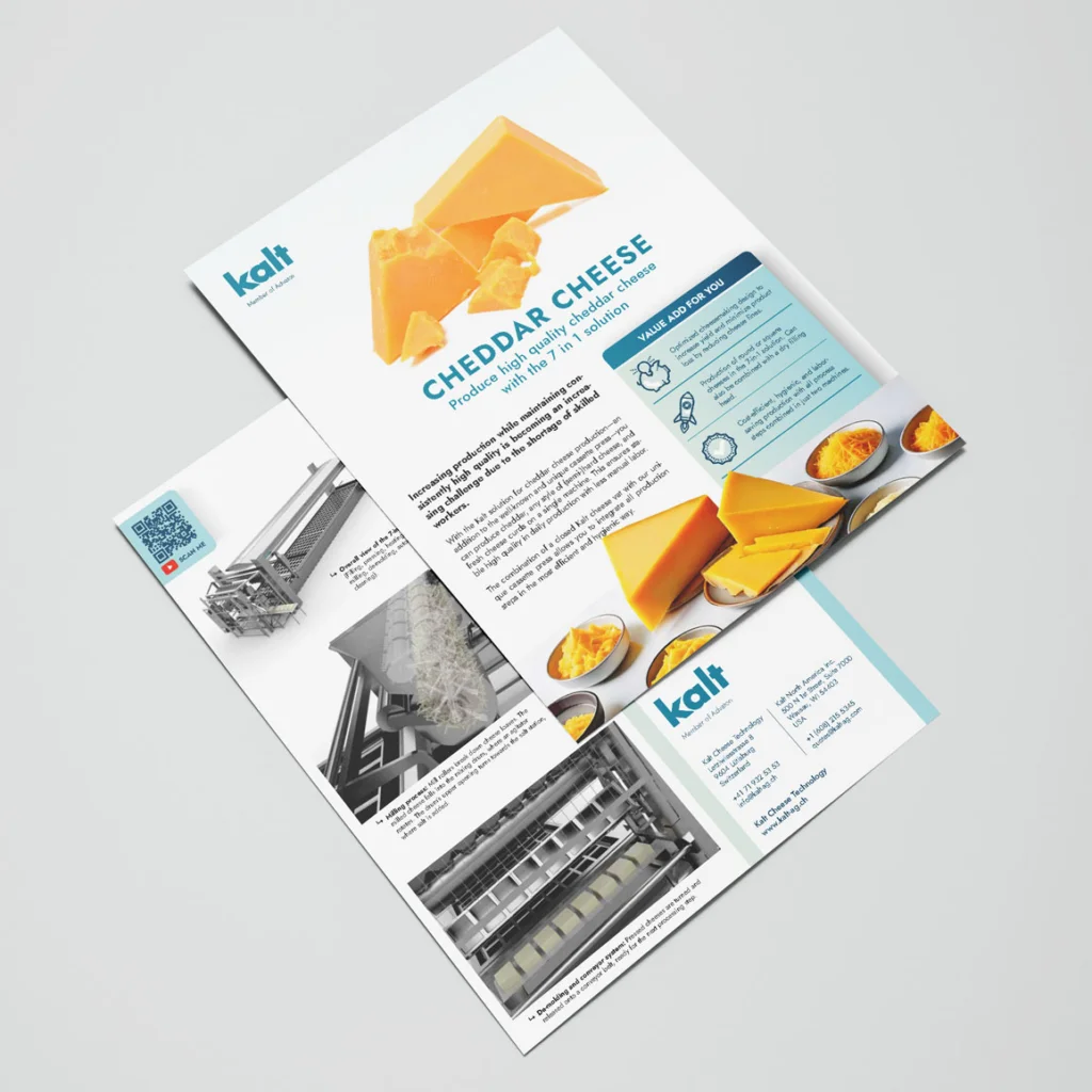 Cheddar Cheese Solution Package Flyer in English