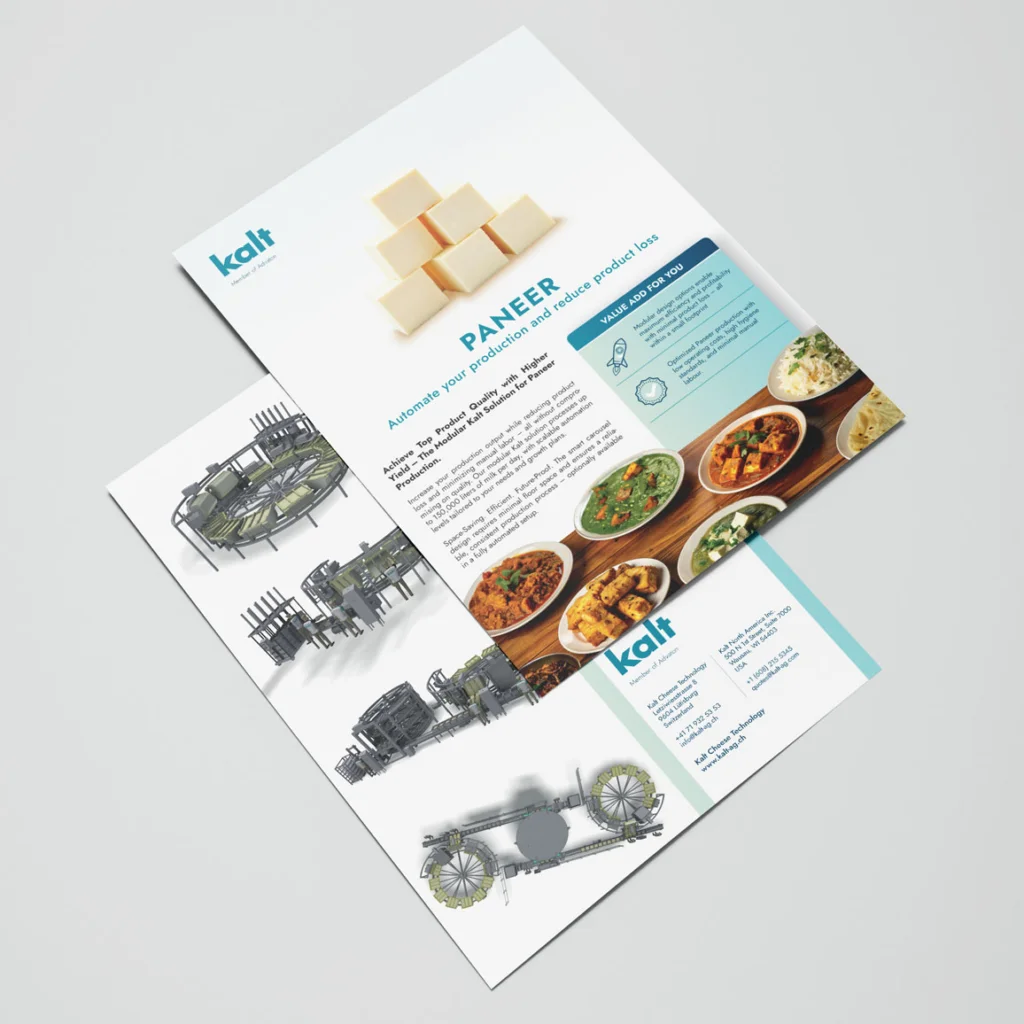 Paneer Cheese Solution Package Flyer in English